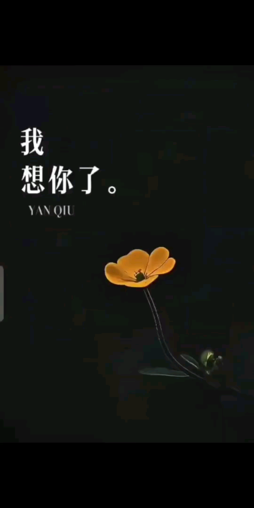 我想你了，特别特别的