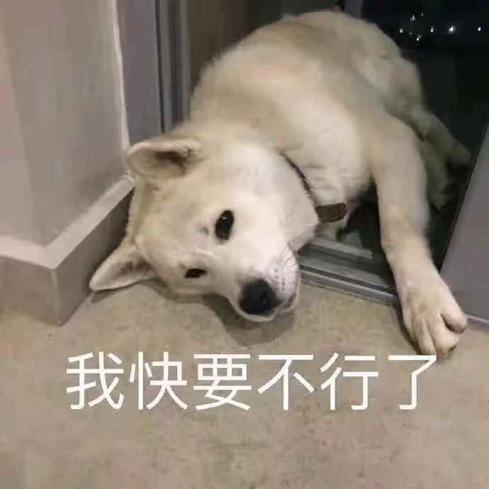 啊思思贺云哥神王的图片