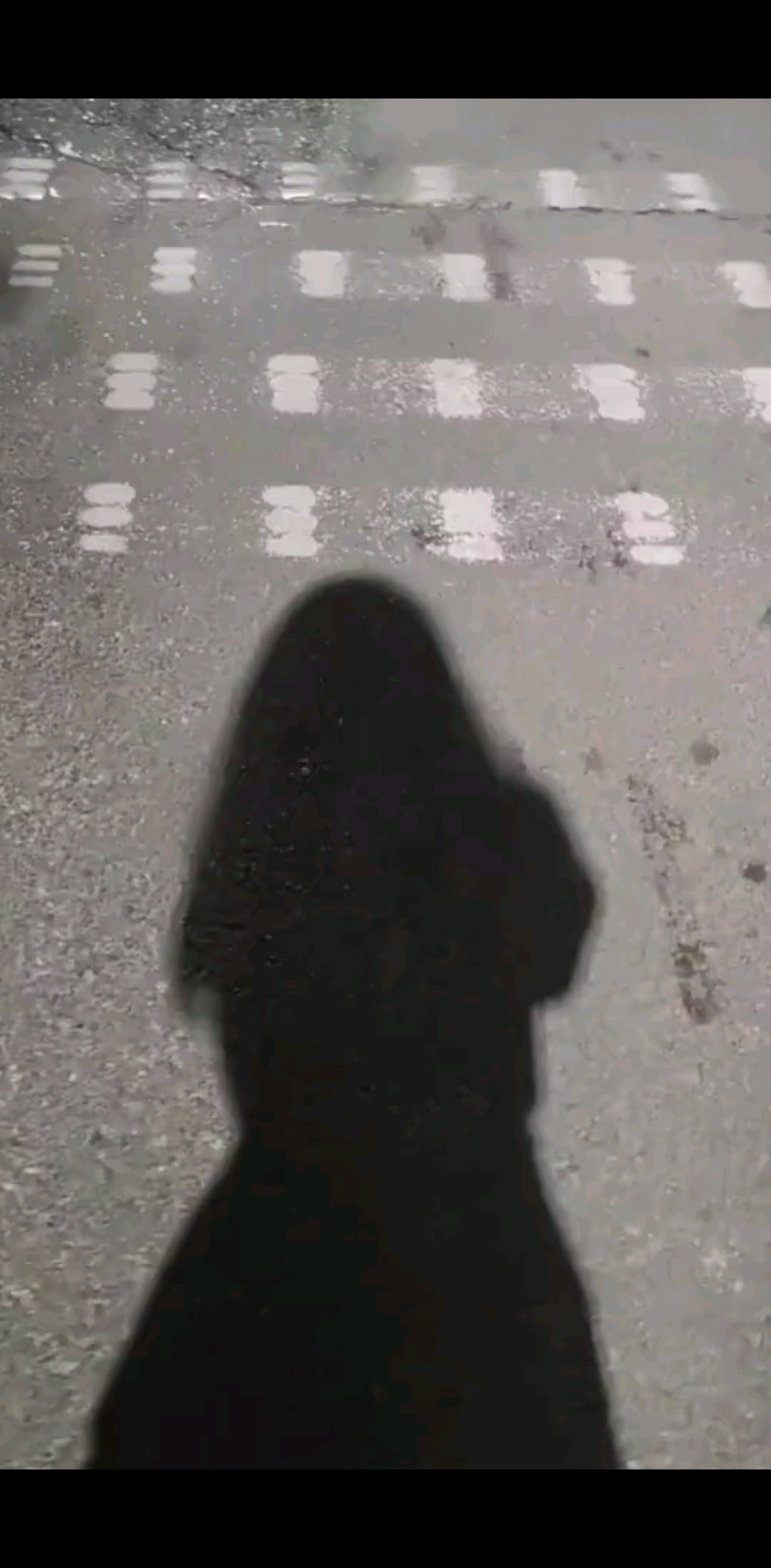 喵喵教教主驾到