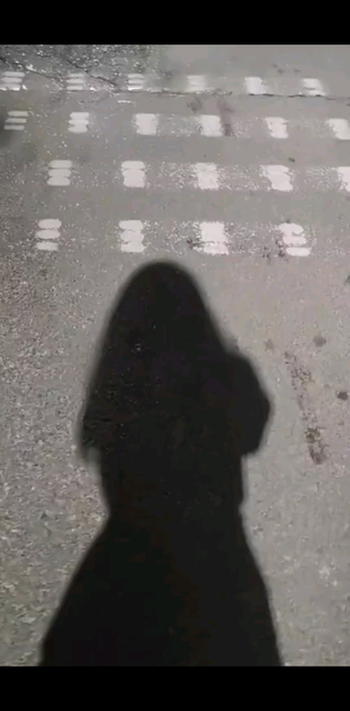 喵喵教教主驾到