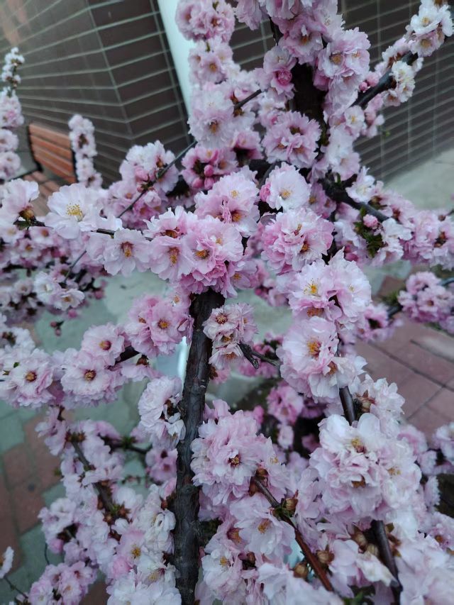 甜心🍬早睡早起的图片