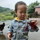 幸福人生b3d海报