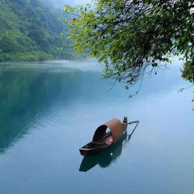 其乐无穷普通海报