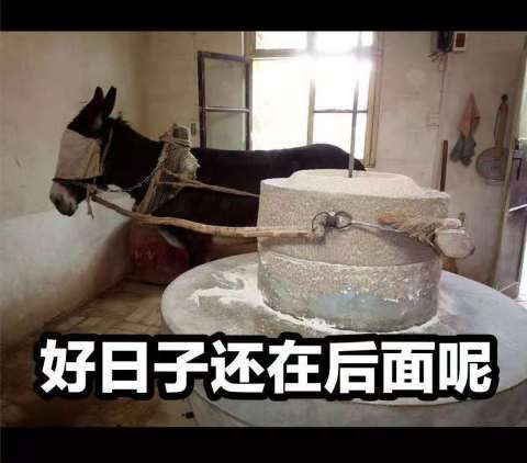 赐经使者的图片