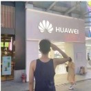 人间凑数是我！