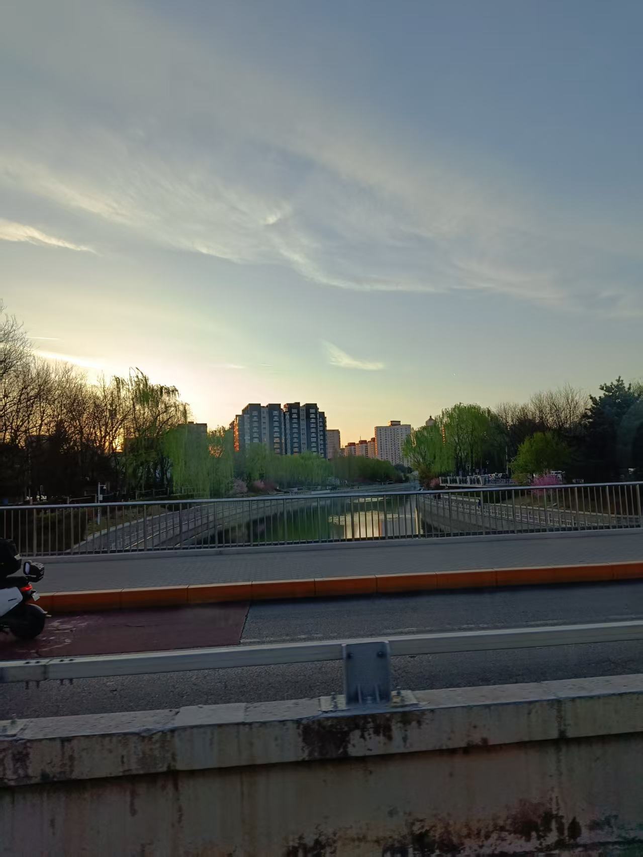 萌新宝宝cbll的图片