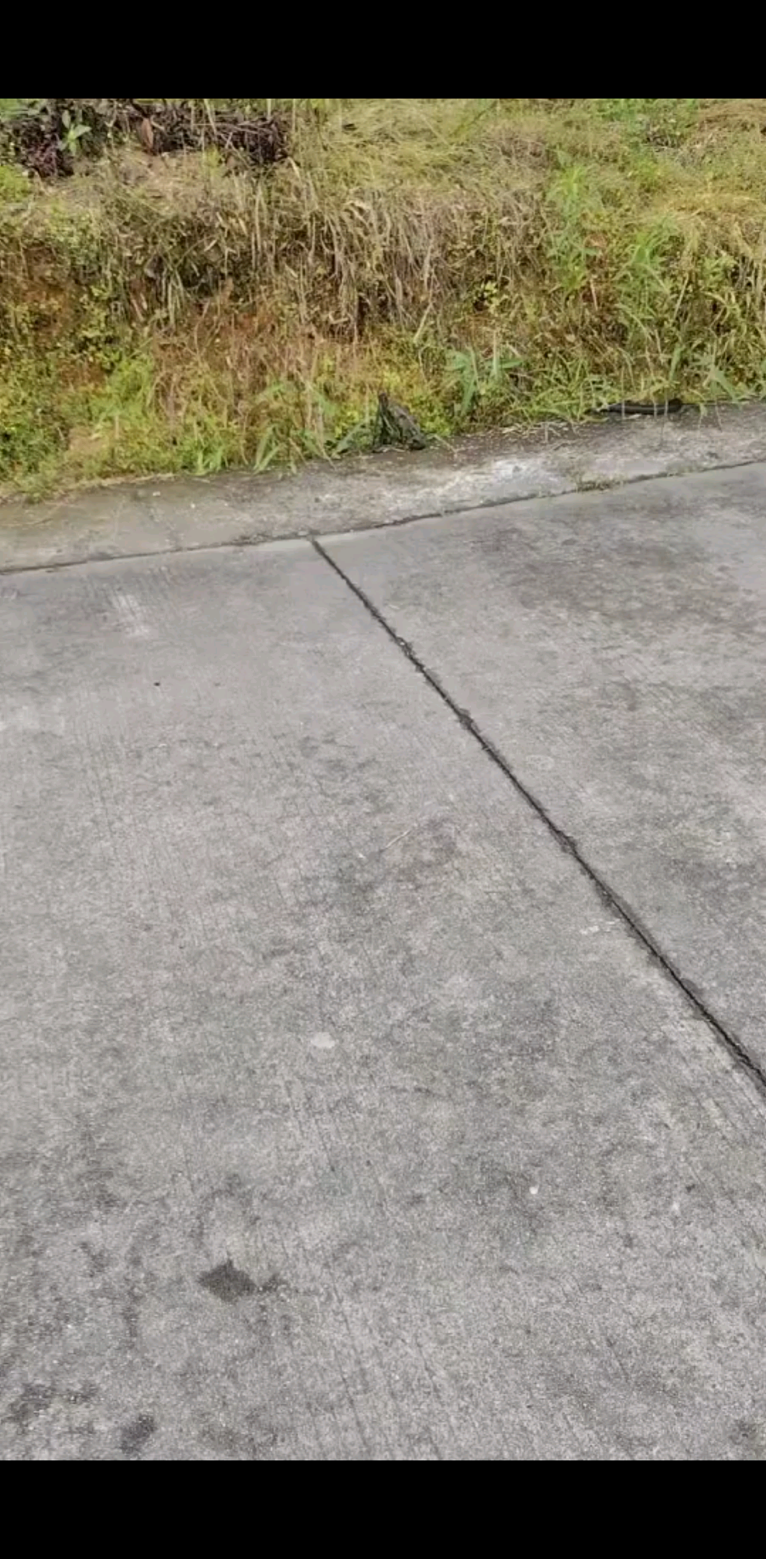 /狂笑/狂笑