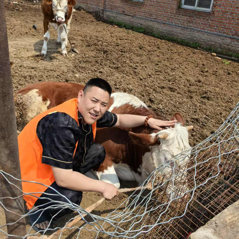 一只耳老艺术家海报