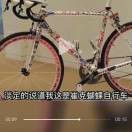 与世无征y的头像