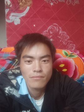 喜军n的图片