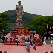 宠徒狂魔321