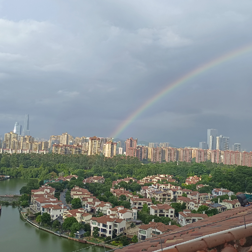 忘尘灬海报