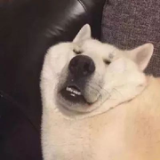 小林老弟