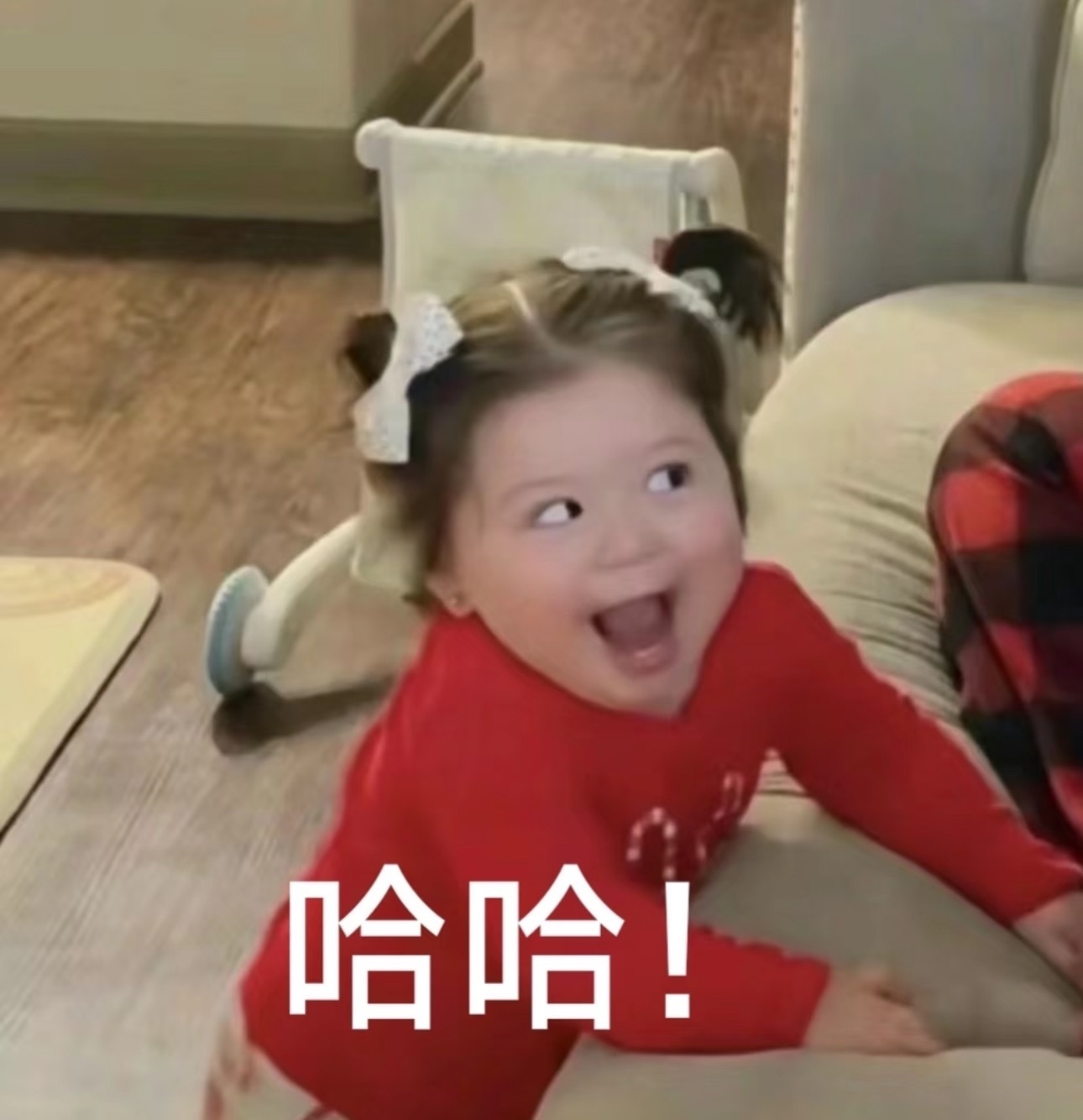 艺艺🍪播播播的图片