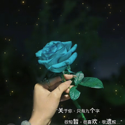 兴云道的头像