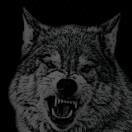 389fgmqwxy