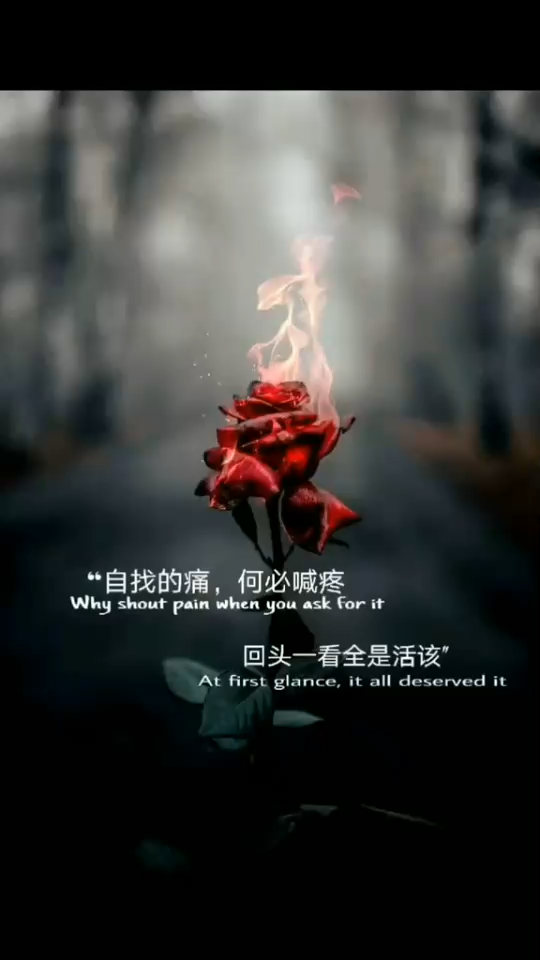 不瞒你们说，我是一个