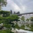 喜上眉梢7