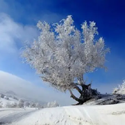 ❄️過客