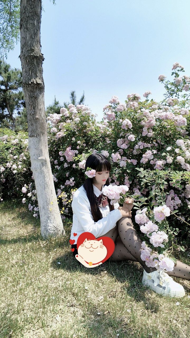 妞妞骑行中国的图片
