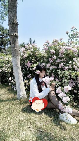 妞妞月底求过任务主播照片