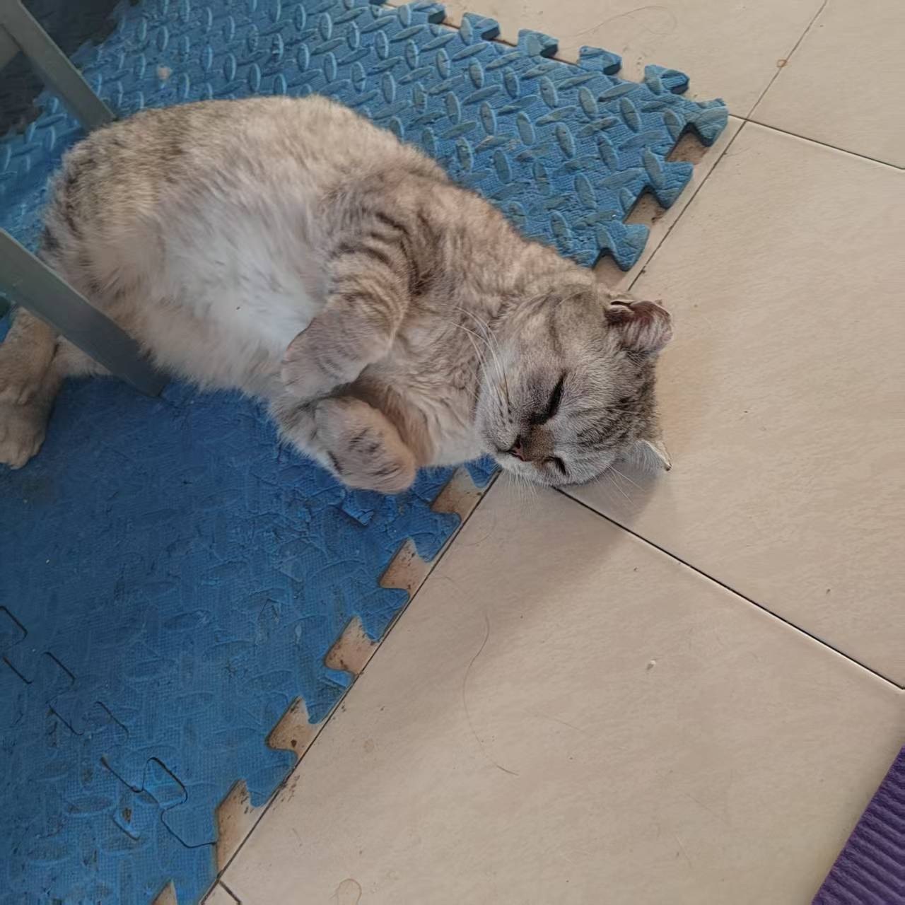 不看刘至的图片