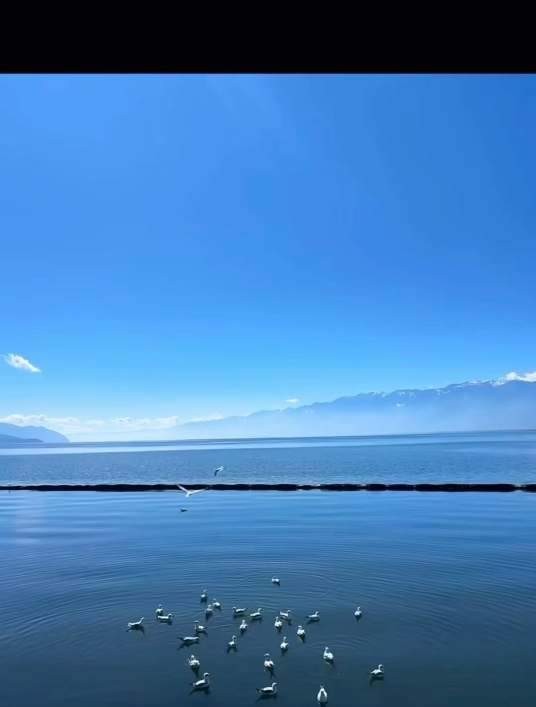 思佳??主播圖片