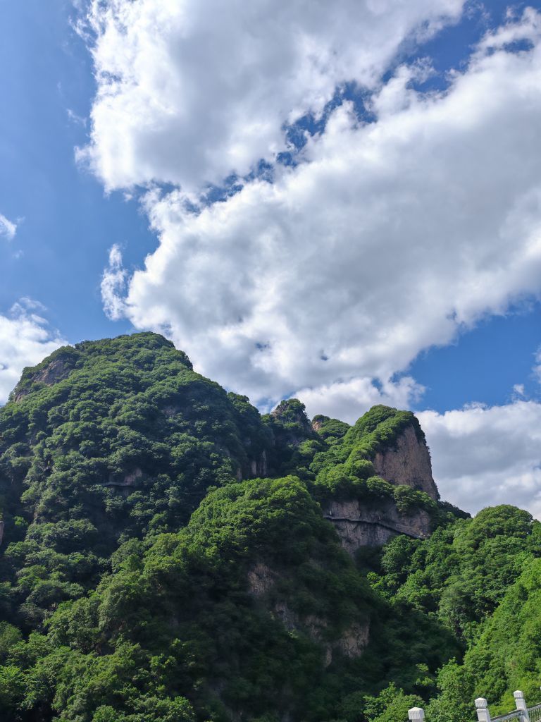迷你朵朵的图片