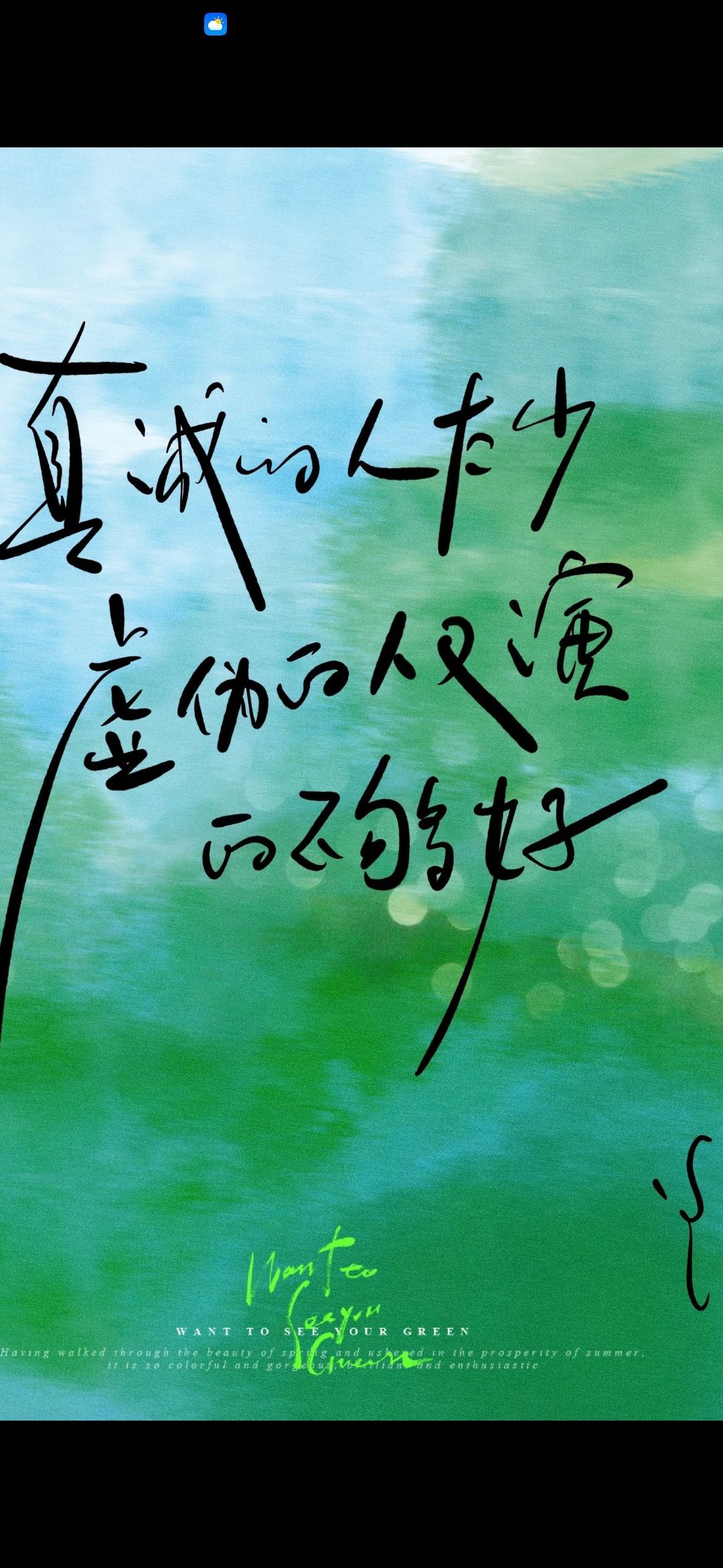 丑小鸭🌾一诺两世欢的图片