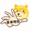 爱与海8*