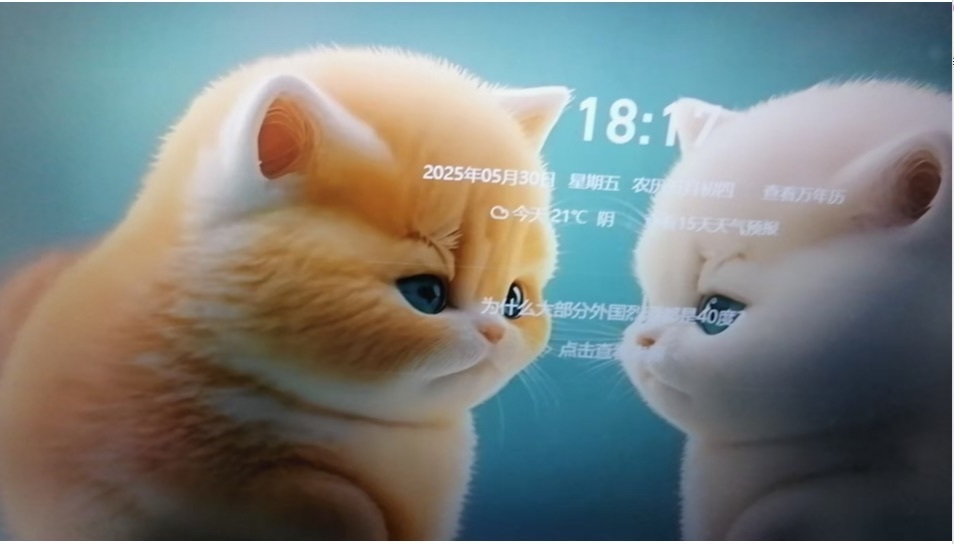 金牌代理❤玲儿❤的图片