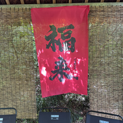 郎行天下168