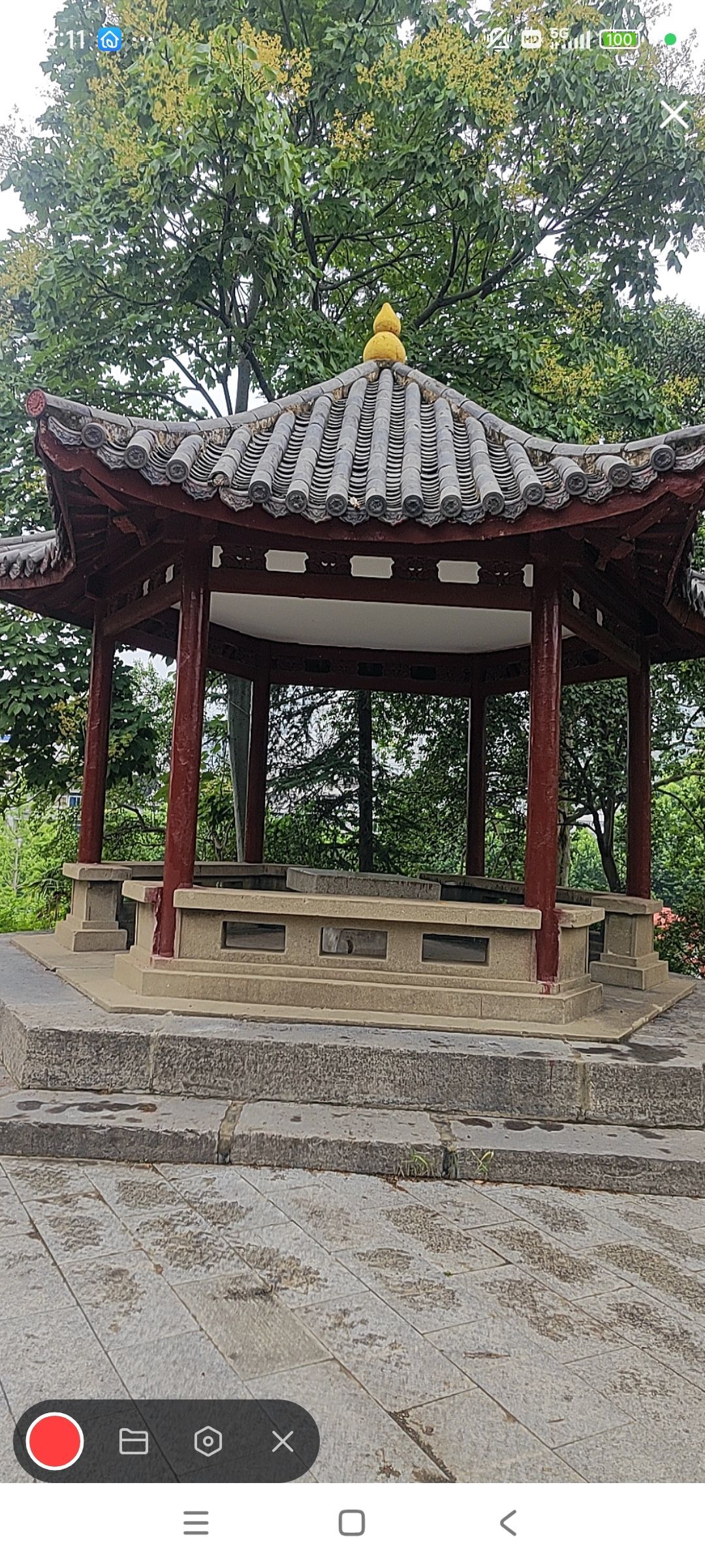 婷婷💕感恩有你陪伴的图片