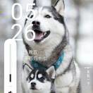 23450hkuz$的头像