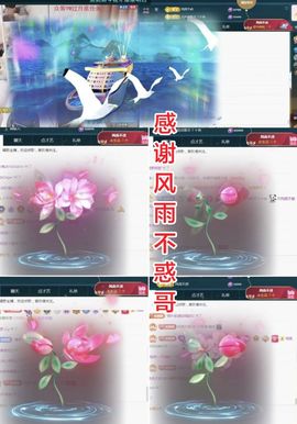 金麒麟好运连连🎤主播照片