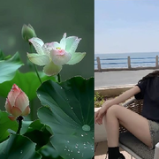 玩個🐬🦜