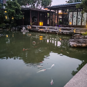 ▣海纳百川的头像