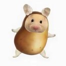 小土豆🥔2