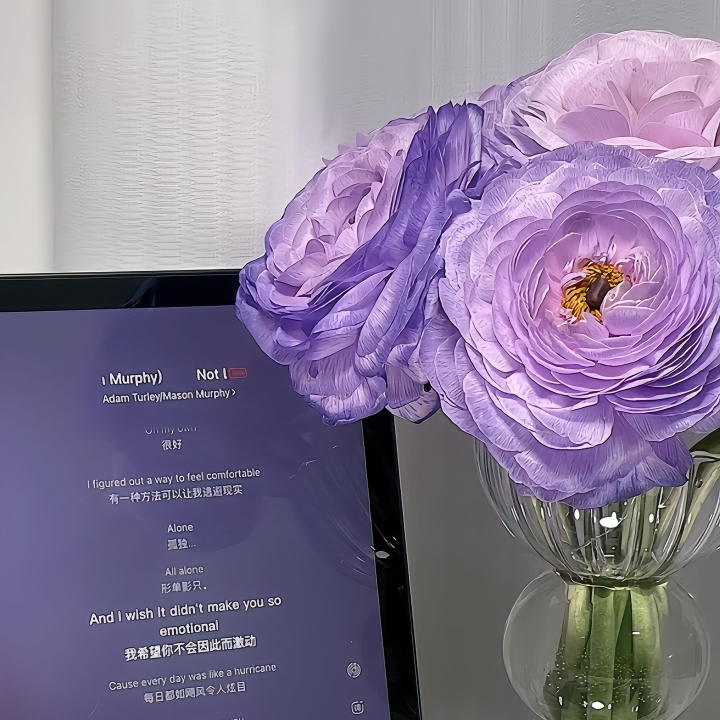 易新新海报