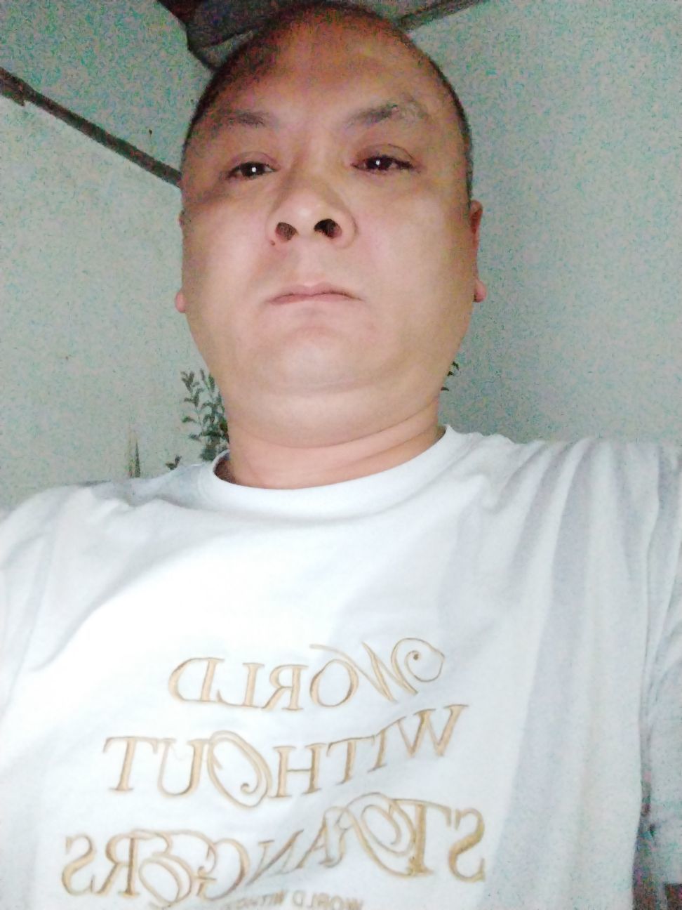 一人是Boss的图片