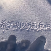 🦊小狐狸海报