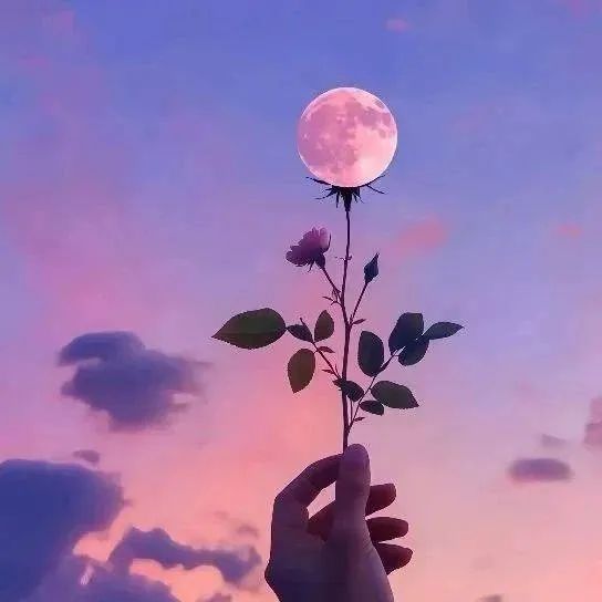 芯瑶❤️爱唱歌～主播图片
