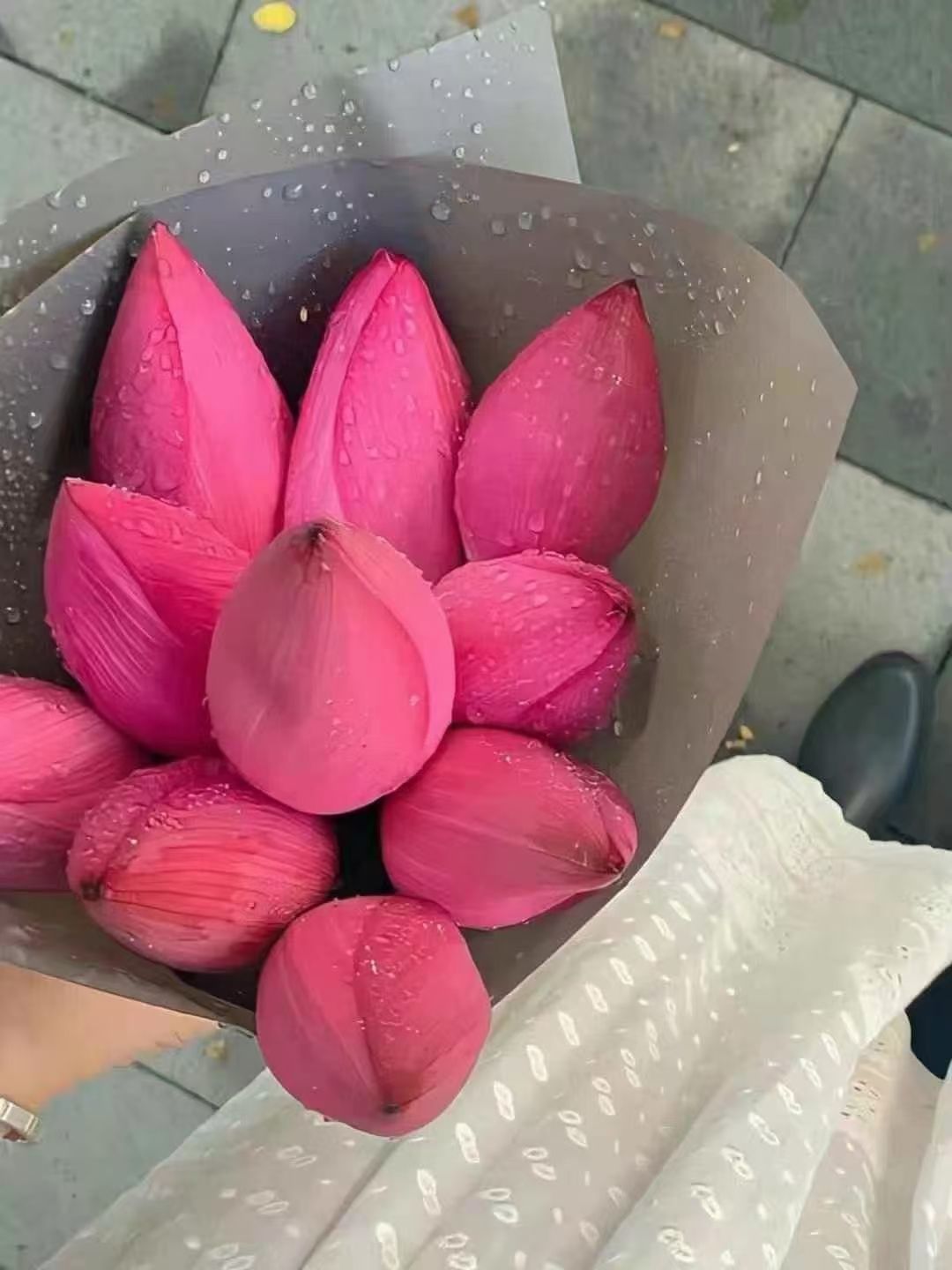 妞妞骑行中国的图片