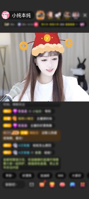感谢种田的小农民赠送天空游乐园1个