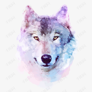 ꧁✦狼☬王᭄꧂