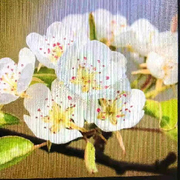 User_16551