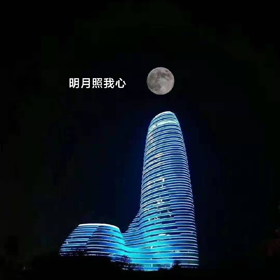 🌕明月照我心海报