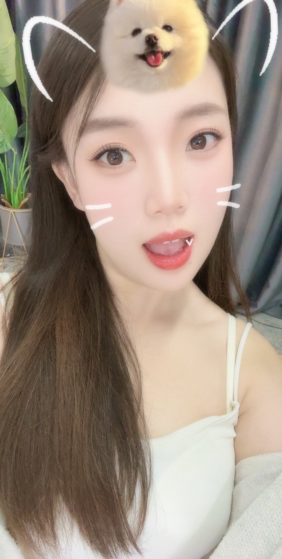 是uu呀~的图片