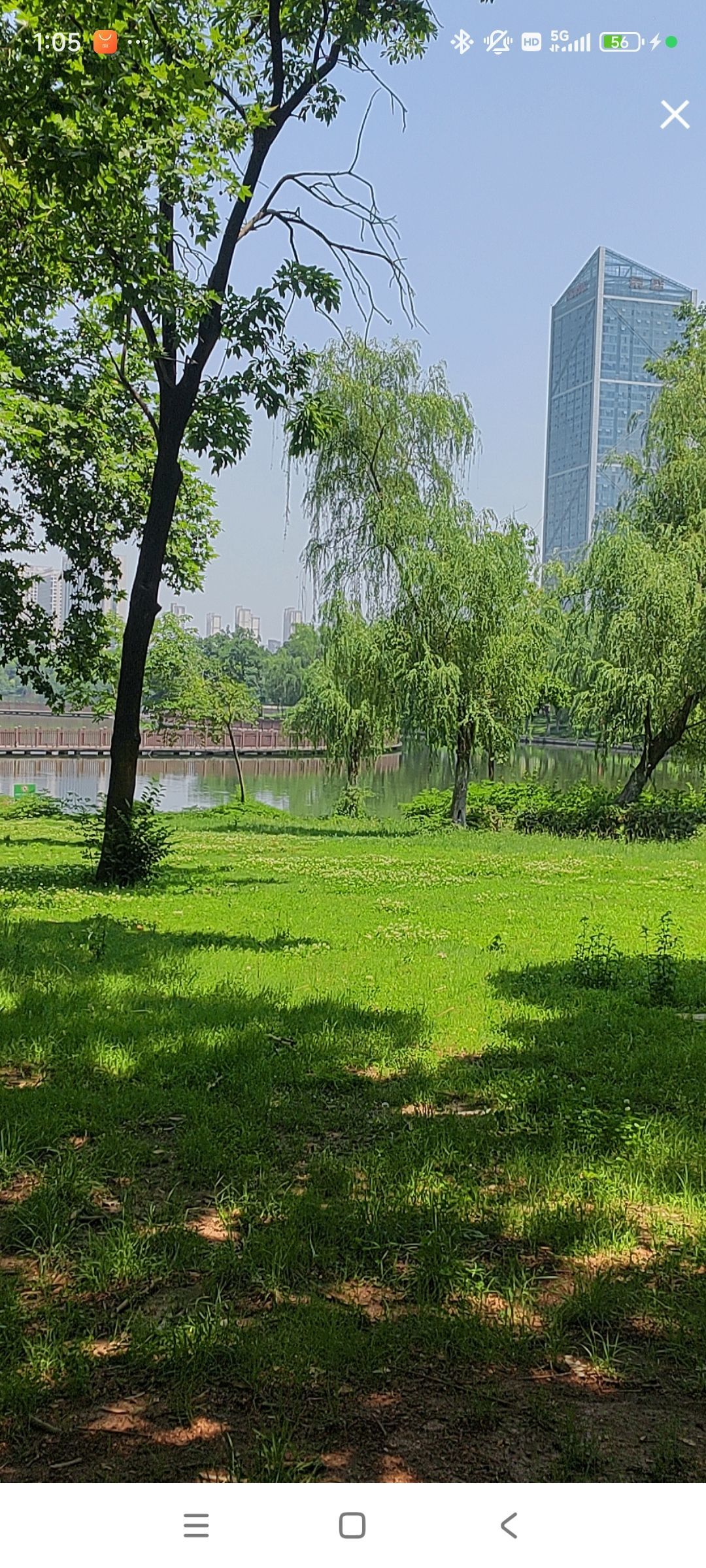 婷婷💕感恩有你陪伴的图片