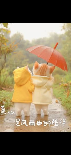 丑小鸭☯求一束光主播照片